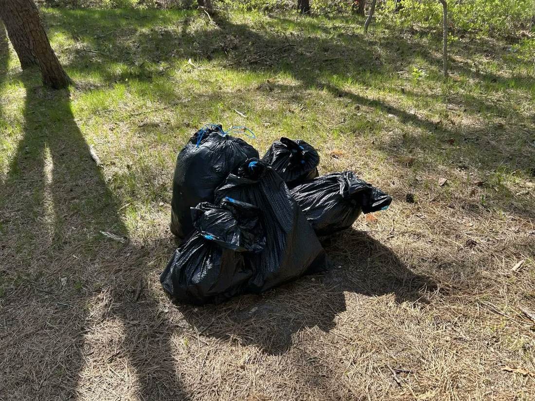 Five filled black trash bags collected during the cleanup